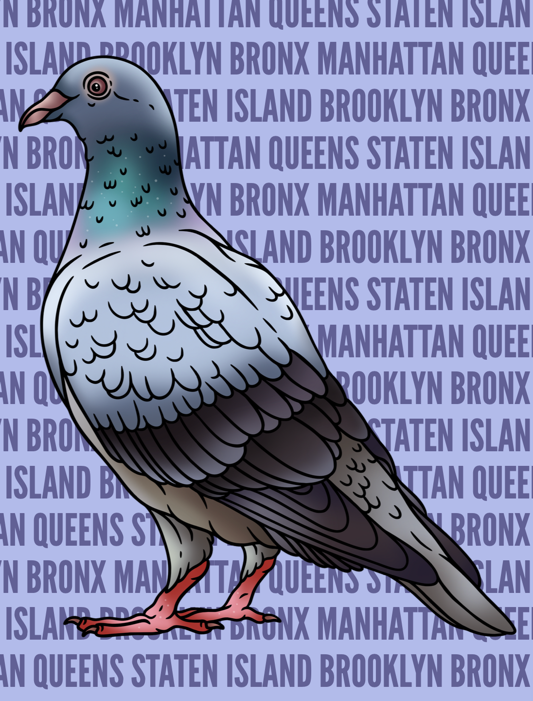 NYC Pigeon